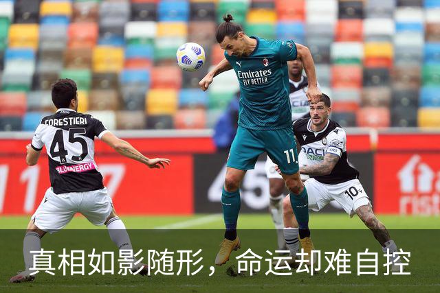 真相如影随形，命运却难自控